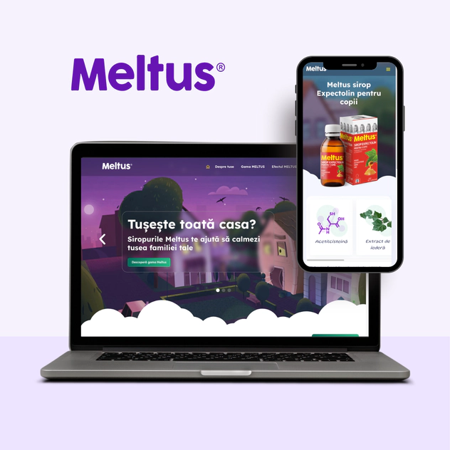 Meltus Project Meltus Project